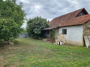 Banatsko Arandjelovo, Novi Kneževac
