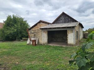 Banatsko Arandjelovo, Novi Kneževac