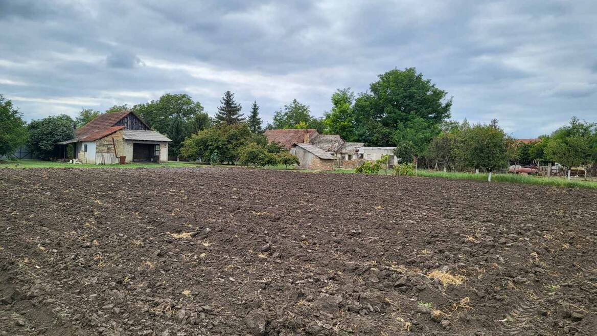 Banatsko Arandjelovo, Novi Kneževac