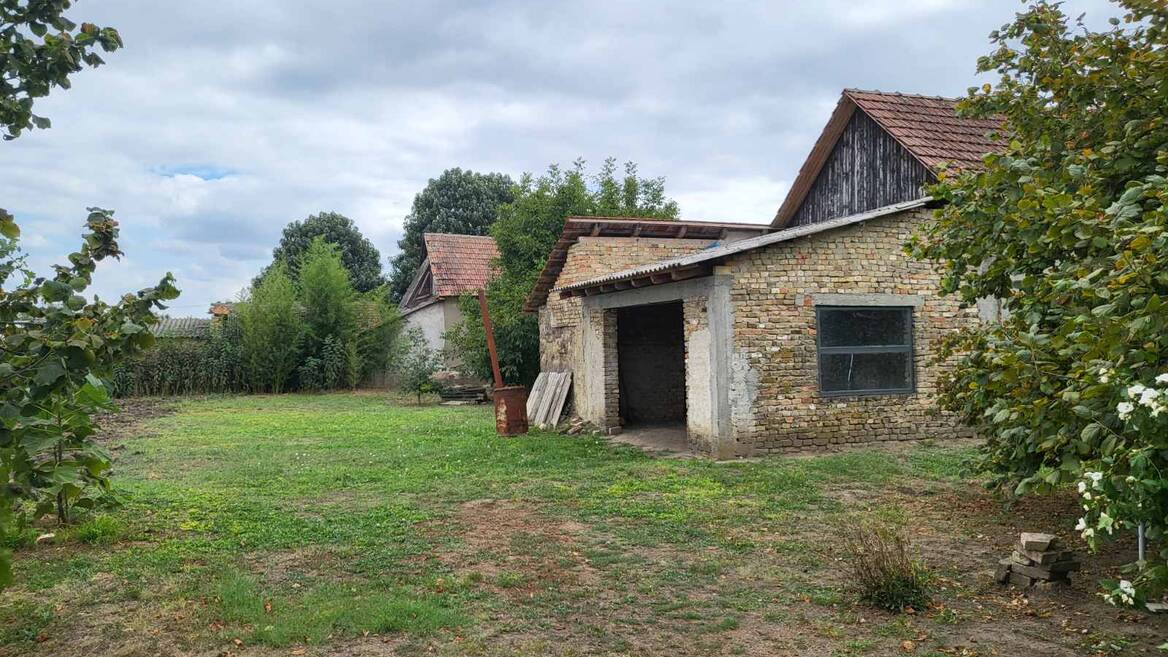 Banatsko Arandjelovo, Novi Kneževac