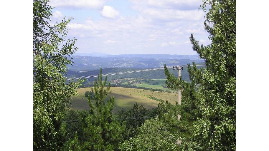 Musvete, Čajetina