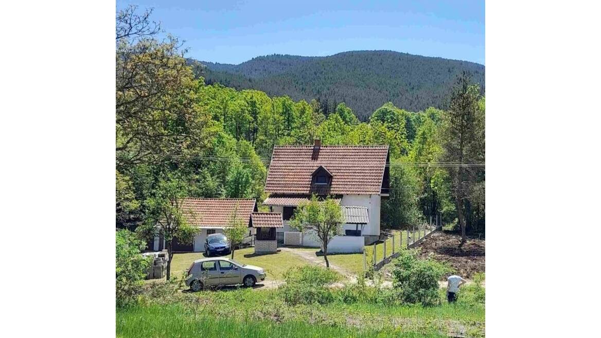 Vitasi, Užice