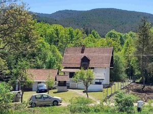 Vitasi, Užice