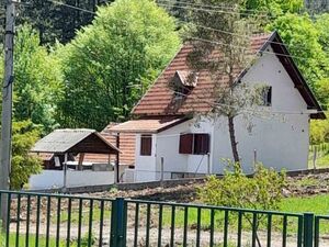 Vitasi, Užice