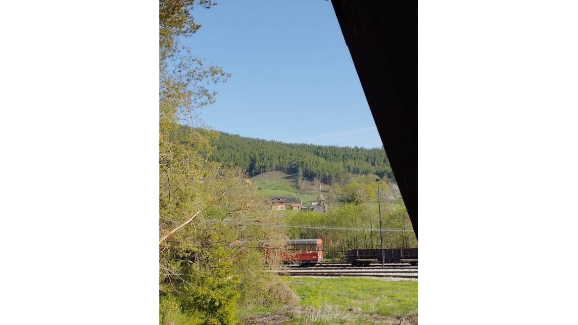 Vitasi, Užice