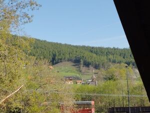 Vitasi, Užice