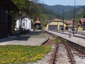 Vitasi, Užice