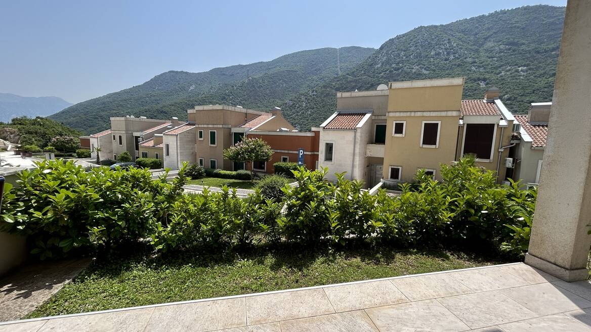 Lavender Bay, Kotor