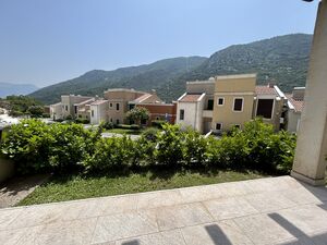 Lavender Bay, Kotor
