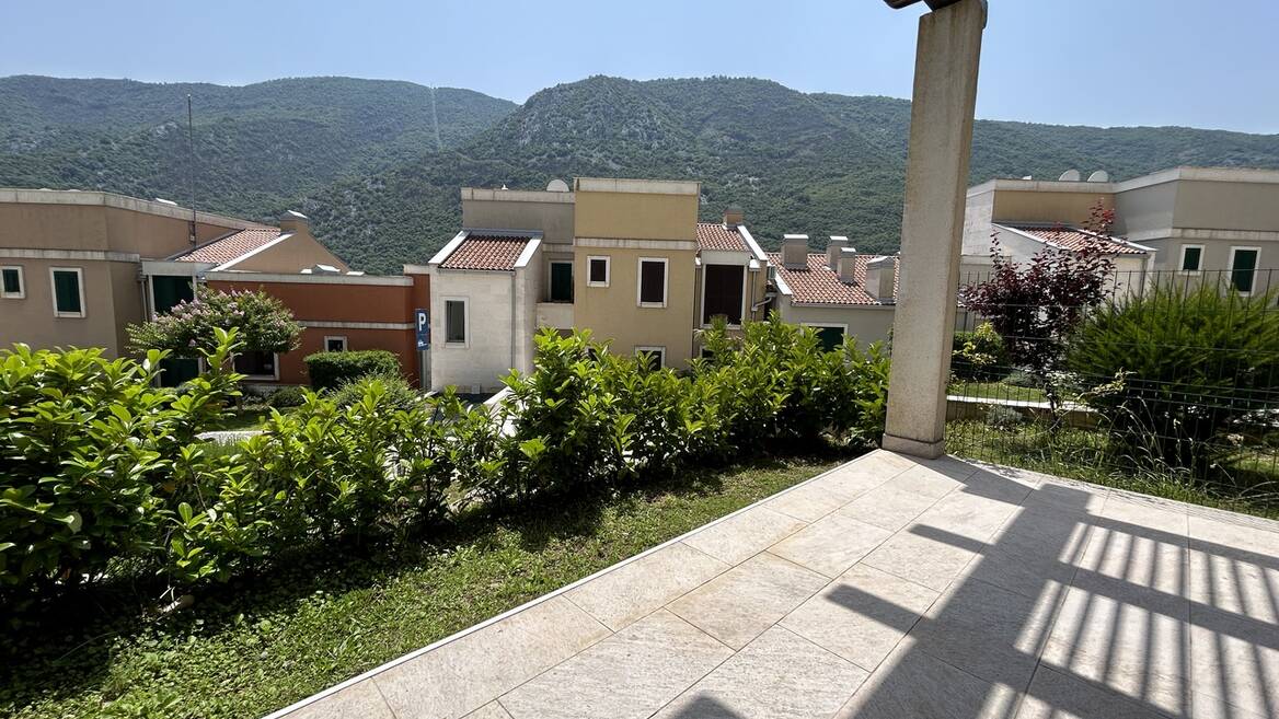 Lavender Bay, Kotor