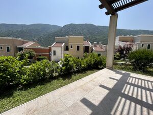 Lavender Bay, Kotor