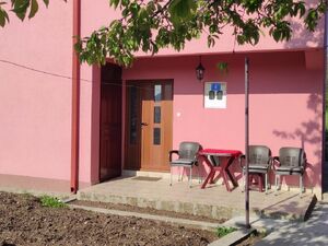 Humci bb, Cetinje