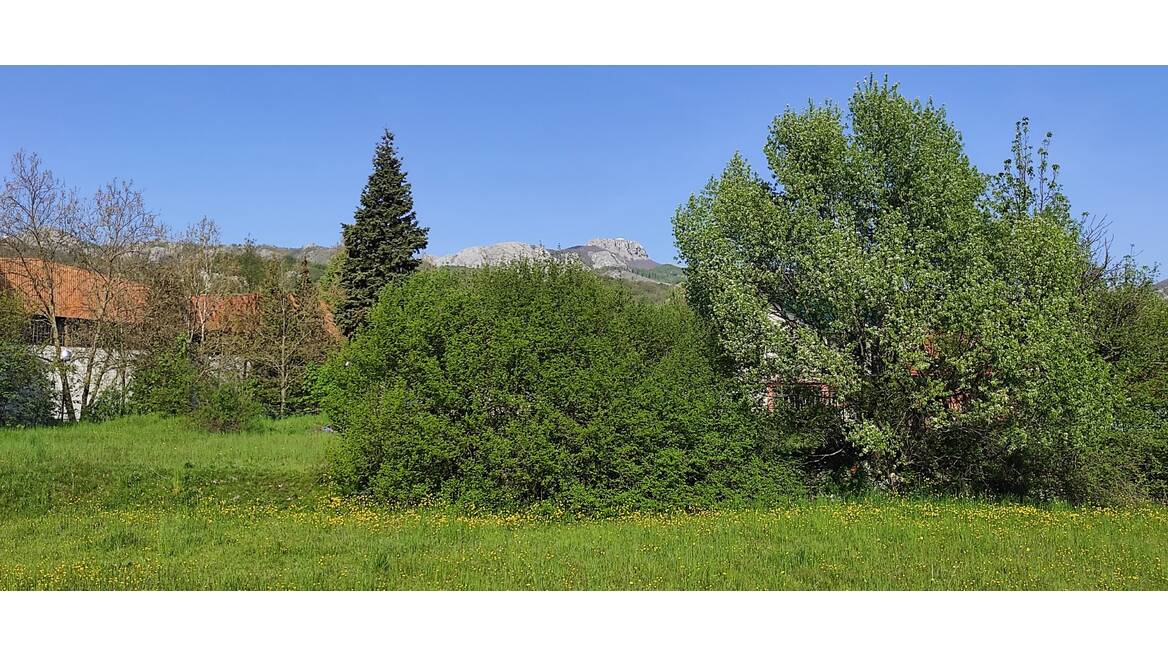 Humci bb, Cetinje