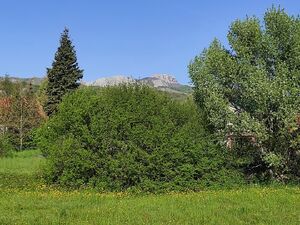 Humci bb, Cetinje