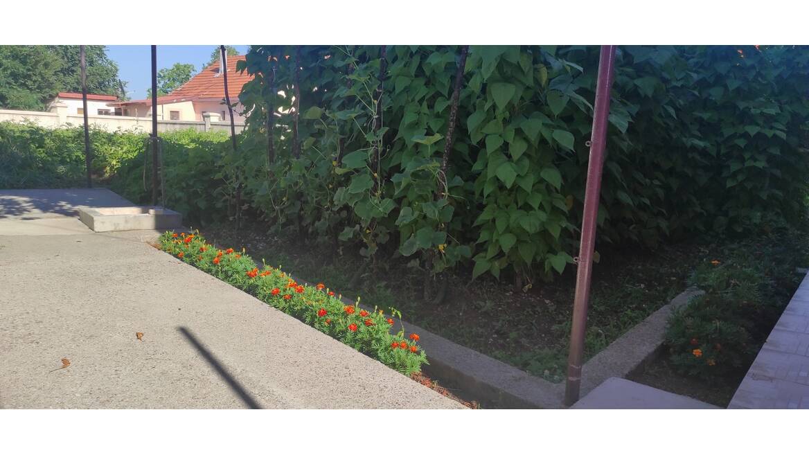 Humci bb, Cetinje