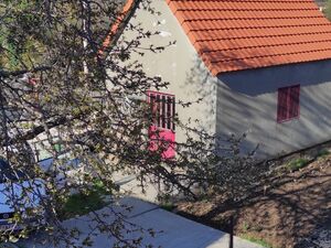 Humci bb, Cetinje