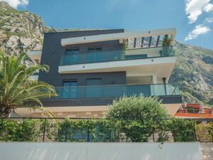 Dobrota I, Kotor
