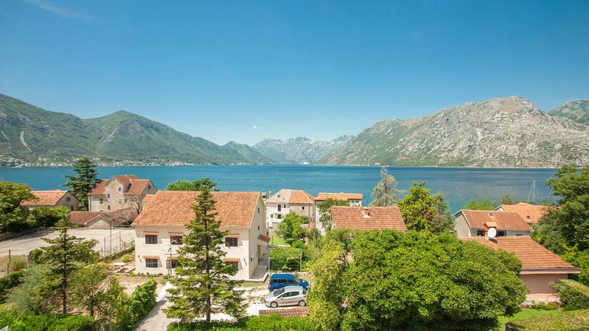 Dobrota I, Kotor