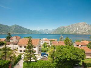 Dobrota I, Kotor