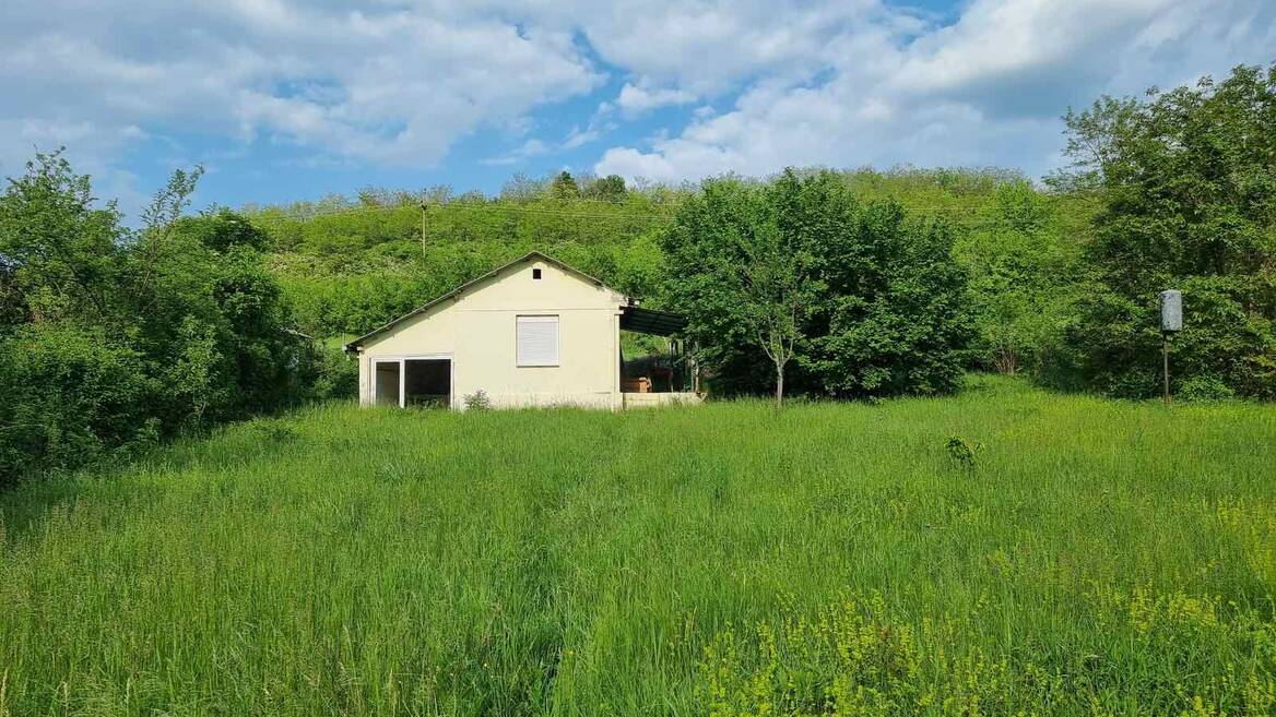 Svilos, Beočin