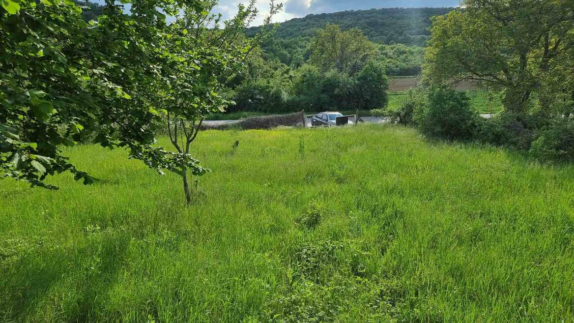 Svilos, Beočin