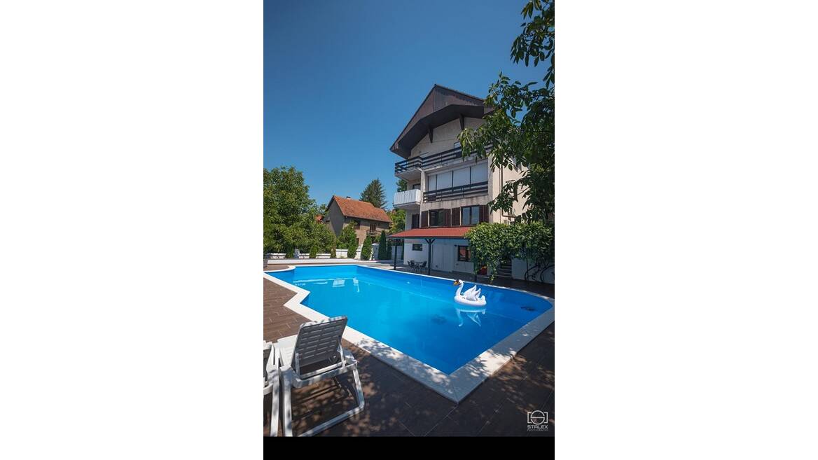 Dusanova, Loznica