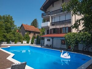 Dusanova, Loznica
