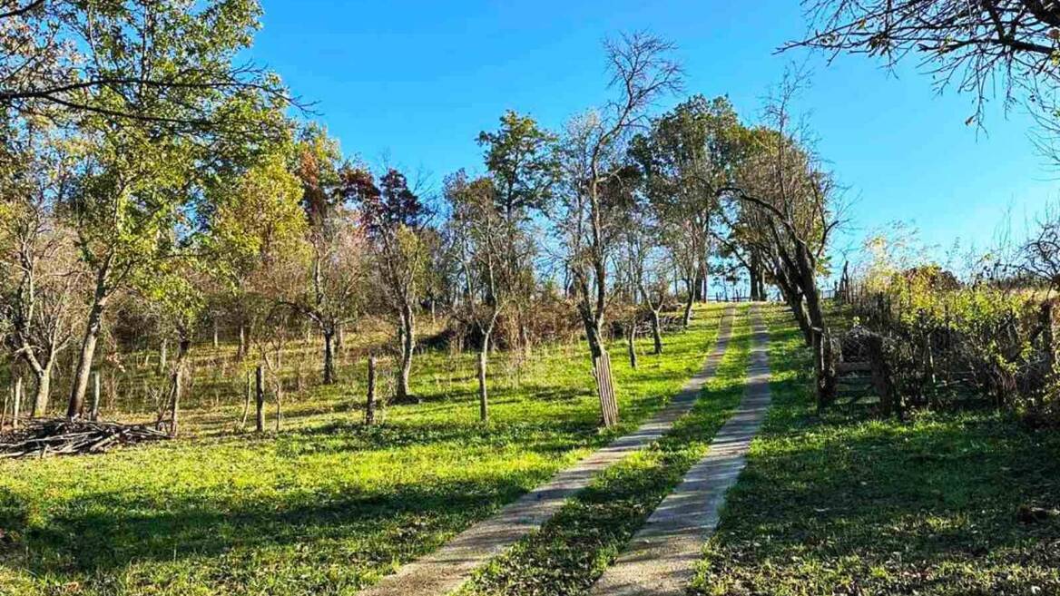 Rajac, Čačak