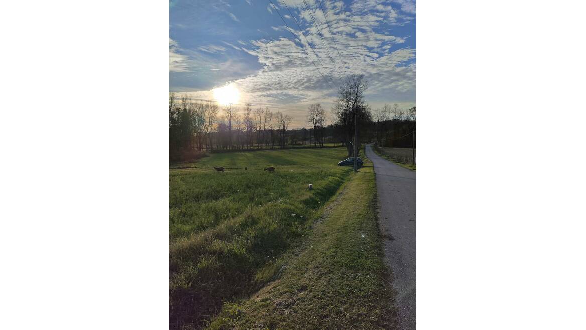 Bozdarevac, Beograd