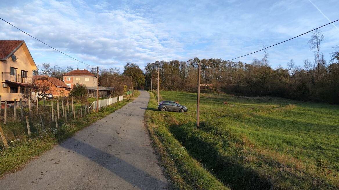 Bozdarevac, Beograd