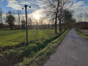 Bozdarevac, Beograd