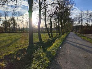 Bozdarevac, Beograd