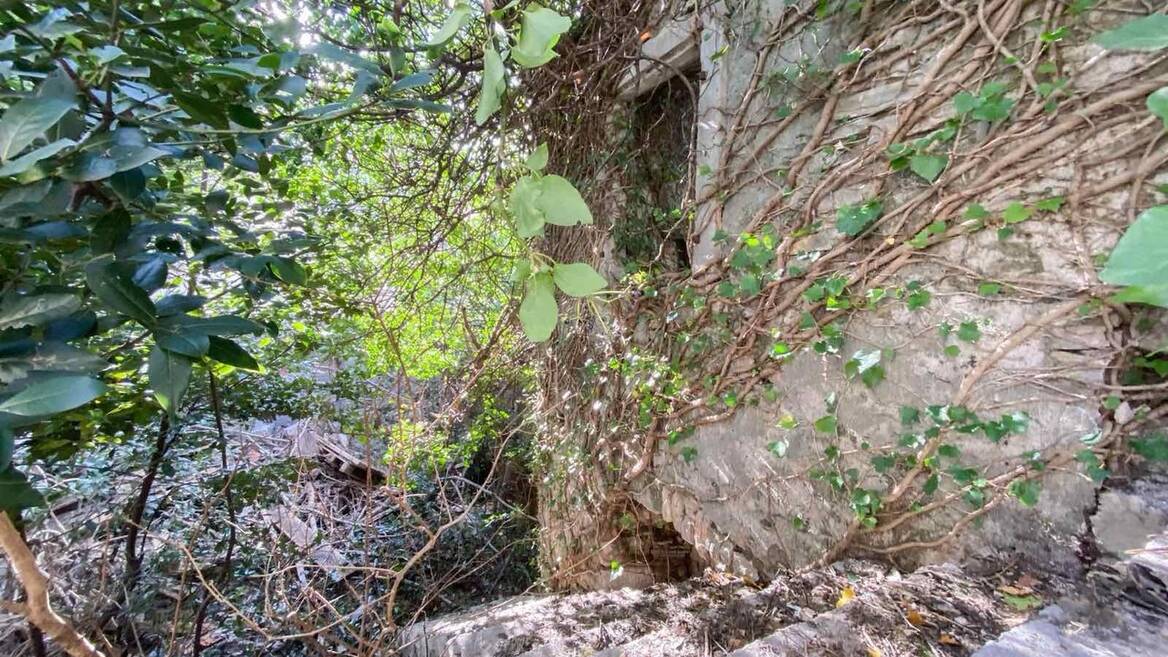 Risan, Kotor