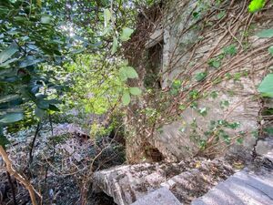 Risan, Kotor