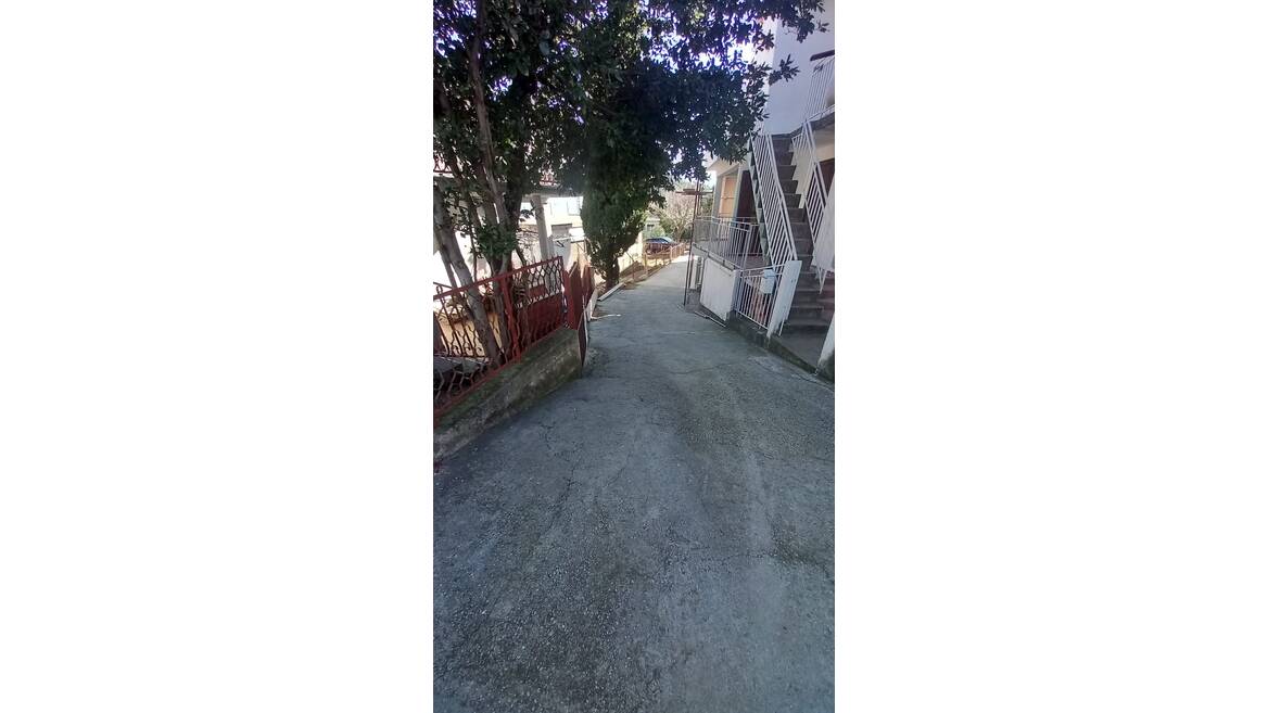 Rutke, Bar