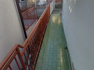 Rutke, Bar