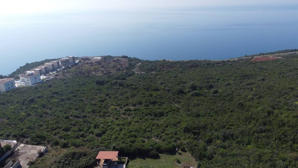 Krimovica, Grbalj, Kotor