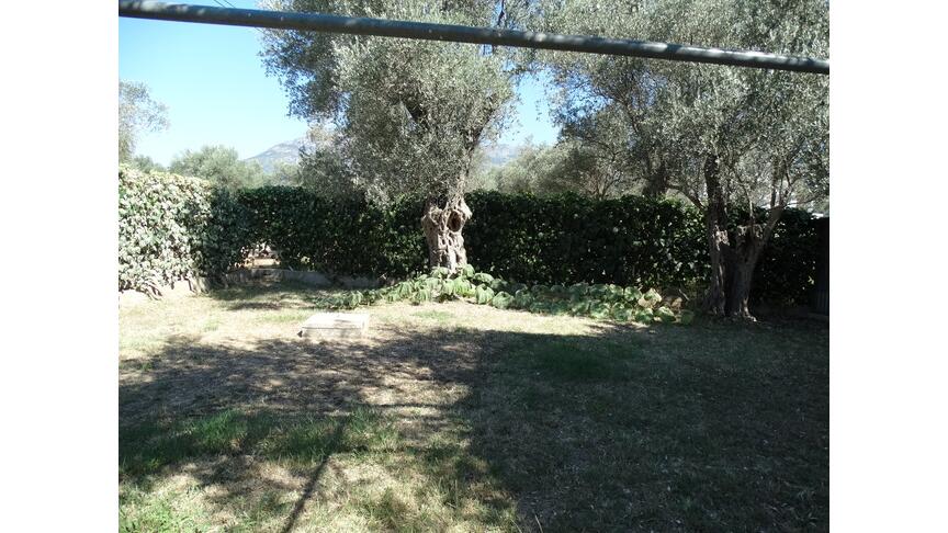 Bjelisi, Bar