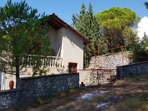 k5928 Kuća okružena borovima u seoskom području, Kotor, Grbalj, Kotor