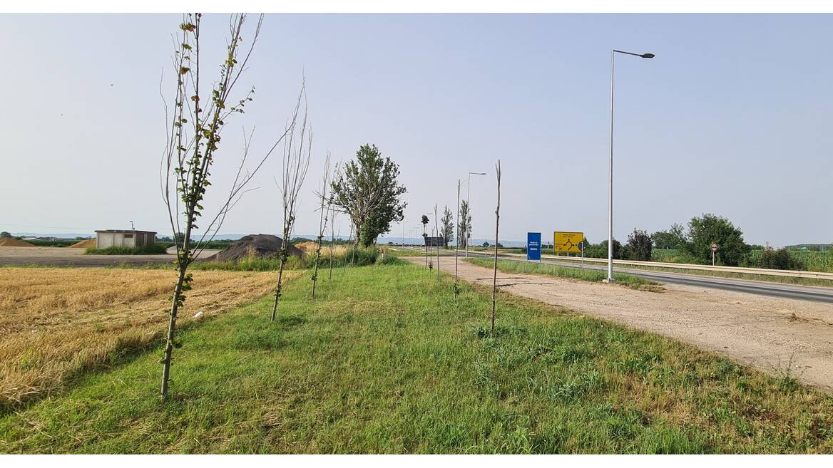 sremska mitrovica, Sremska Mitrovica