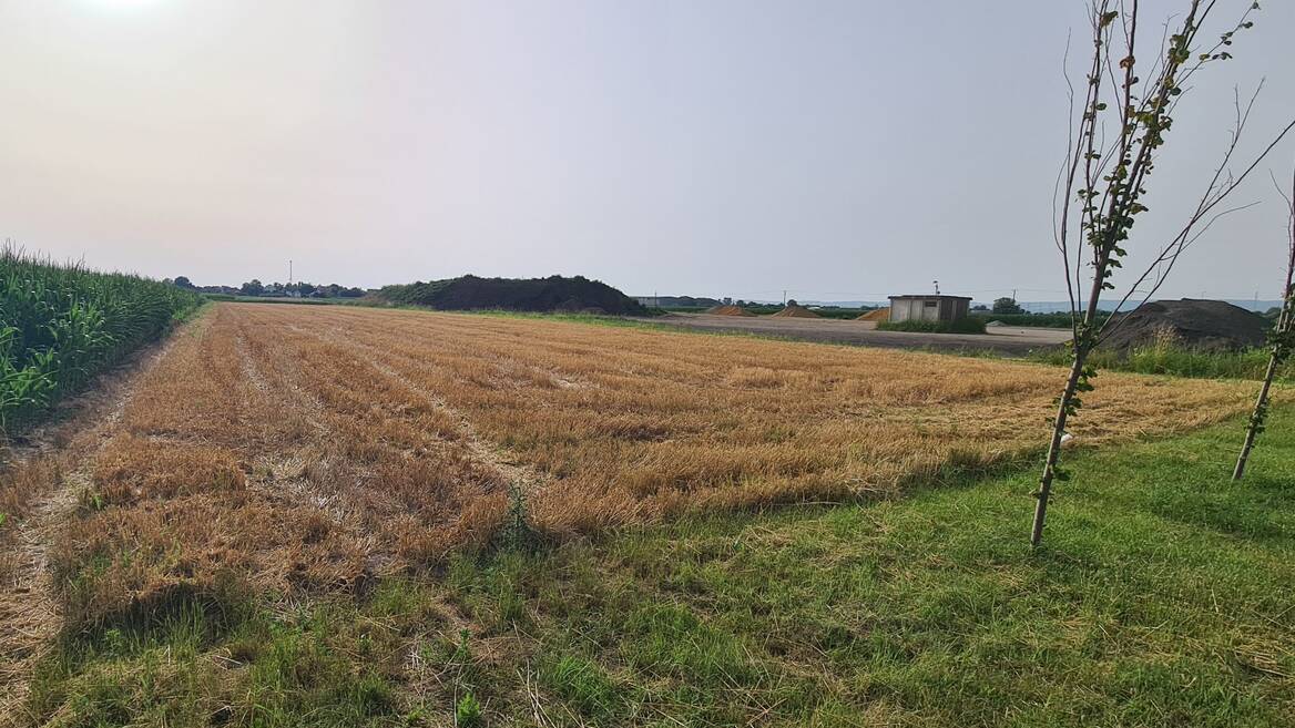 sremska mitrovica, Sremska Mitrovica