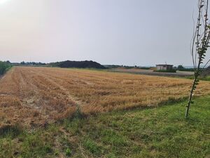 sremska mitrovica, Sremska Mitrovica