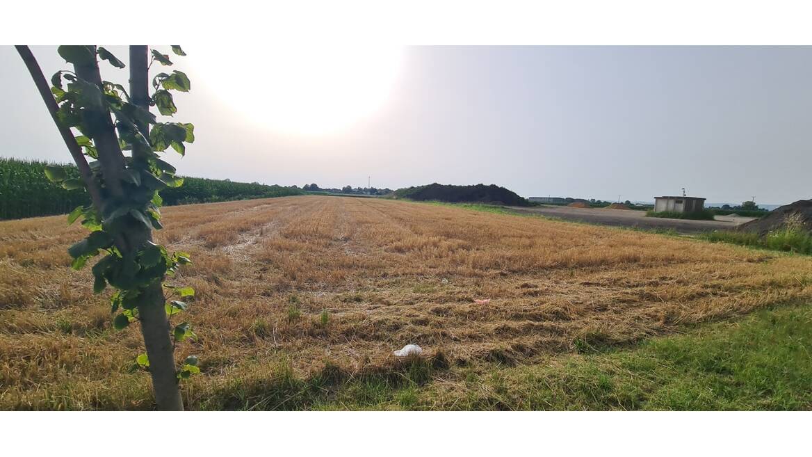 sremska mitrovica, Sremska Mitrovica
