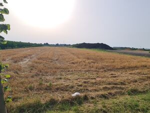 sremska mitrovica, Sremska Mitrovica