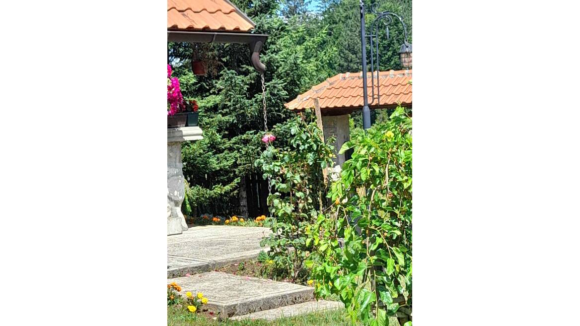 Zlatibor, Čajetina