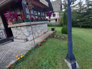 Zlatibor, Čajetina