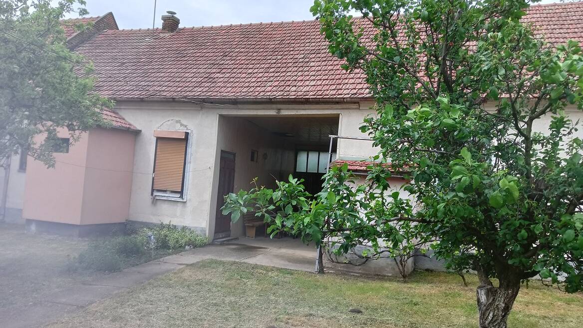 Banatsko Novo Selo, Pančevo