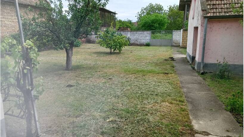 Banatsko Novo Selo, Pančevo