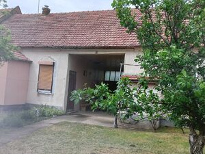 Banatsko Novo Selo, Pančevo