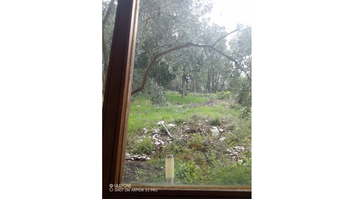 Milosa Šarabe bb, Trebinje